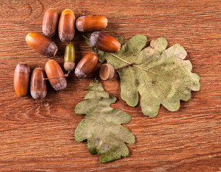 Similar image 20996849