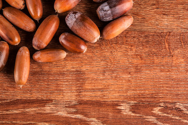 Similar image 20990494