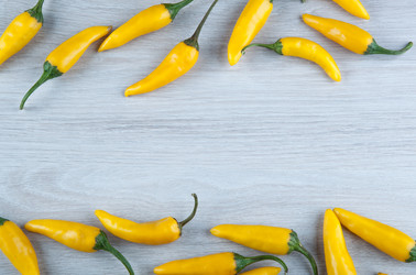 Similar image 20990499