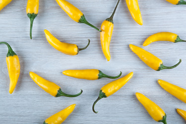 Similar image 20990500