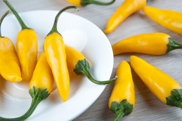 Similar image 20990501