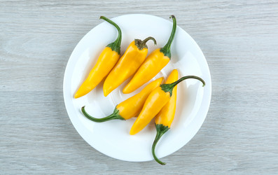 Similar image 20990502