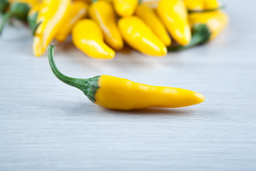 Similar image 20990503