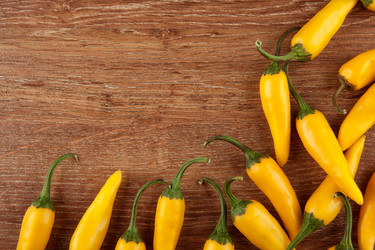 Similar image 20990506