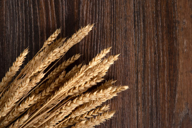 Similar image 20990766