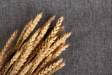 Similar image 20990767