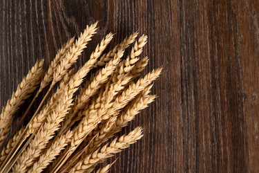 Similar image 20990768