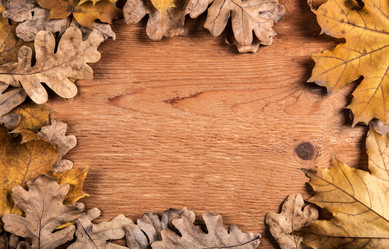 Similar image 20996889