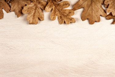 Similar image 20996902