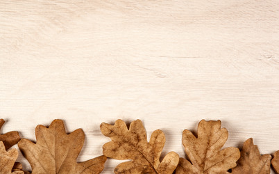 Similar image 20996903