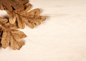 Similar image 20996904