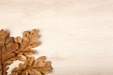 Similar image 20996905