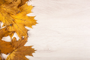 Similar image 20996907