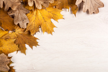 Similar image 20996908