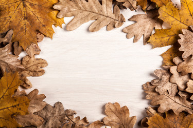 Similar image 20996909