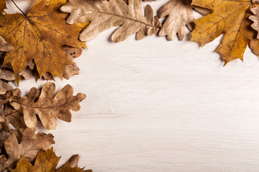 Similar image 20996910