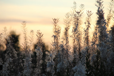 Similar image 20990304