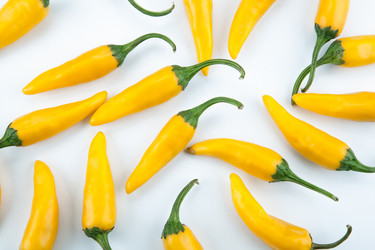 Similar image 20990619