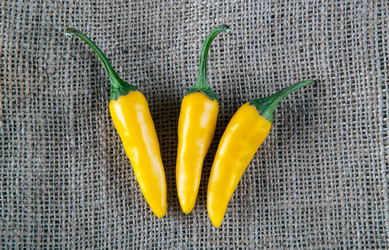 Similar image 20990637