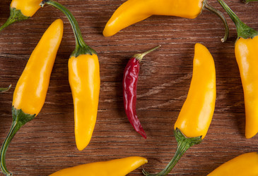 Similar image 20992305