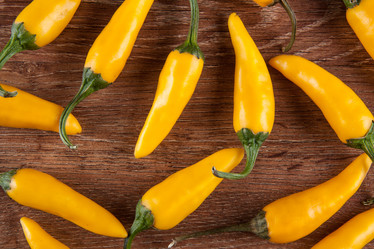 Similar image 20992306