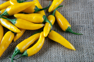 Similar image 20990643