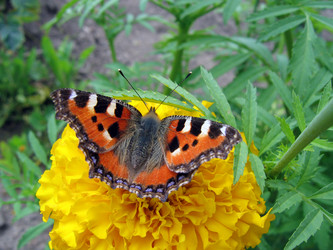 Similar image 20990851