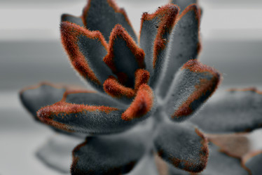 Similar image 20978597