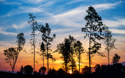 Similar image 20986776