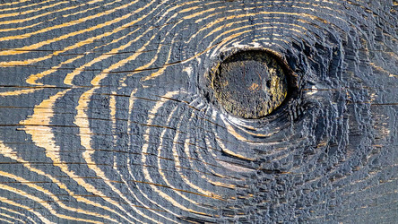 Similar image 20986937