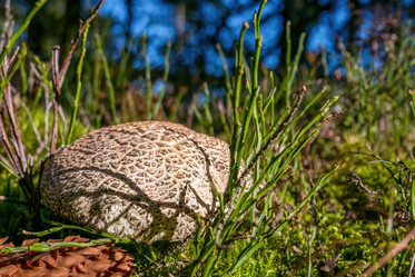 Similar image 20986940