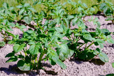 Similar image 20986943