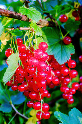 Similar image 20986946