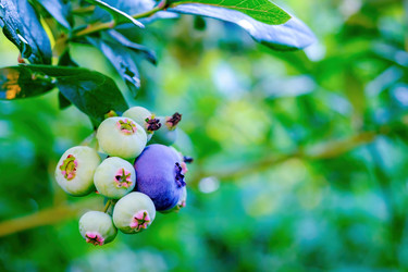 Similar image 20986947