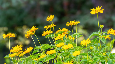 Similar image 20986952