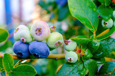 Similar image 20986958