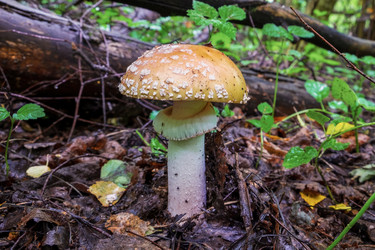 Similar image 20986965