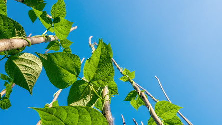 Similar image 20986967