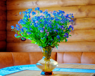 Similar image 20986781