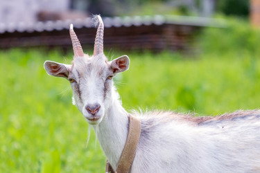 Similar image 20986786