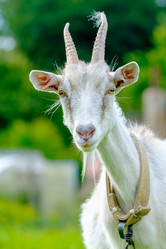 Similar image 20986787