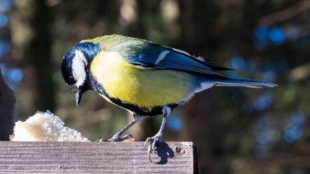 Similar image 20986791