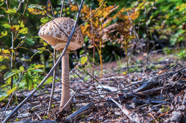 Similar image 20986796