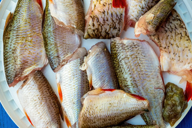 Similar image 20986800