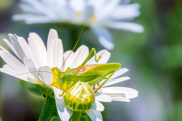 Similar image 20986802