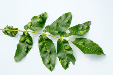 Similar image 20986805