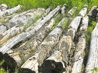 Similar image 20981325