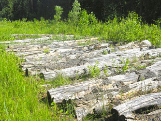 Similar image 20981326