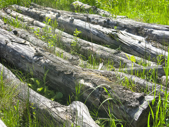 Similar image 20981327