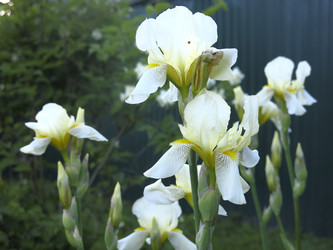 Similar image 20981330